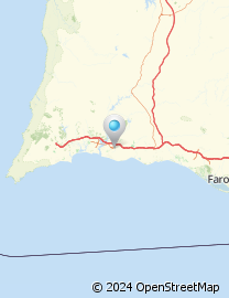 Mapa de Largo António Cruz Silva