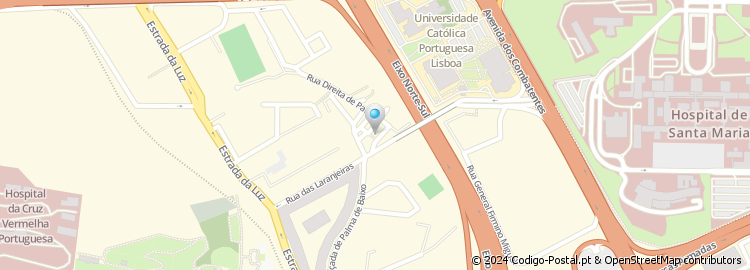 Mapa de Rua Palmeiras