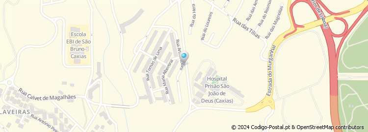 Mapa de Rua Artur Ribeiro