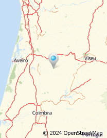 Mapa de Rua António Pereira Vidal Xavier