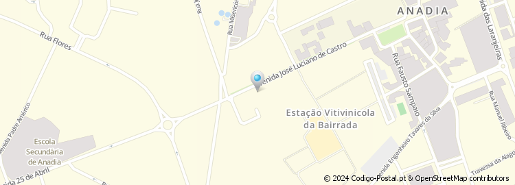 Mapa de Avenida José Luciano de Castro
