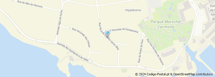 Mapa de Rua Ricardo Espírito Santo Silva