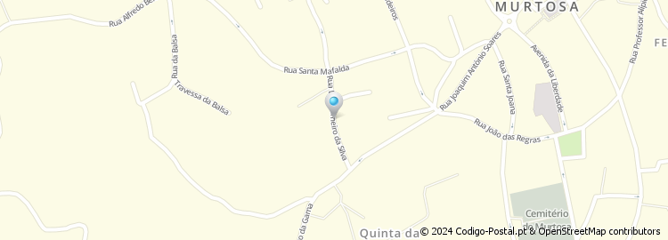 Mapa de Rua Luis Carneiro da Silva