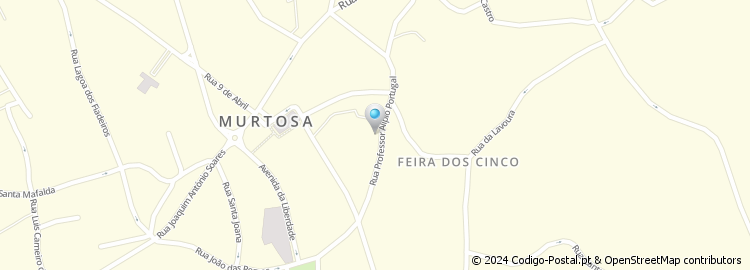 Mapa de Rua Professor Alípio Portugal