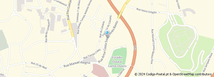 Mapa de Rua Artur Costa Sousa Pinto Basto