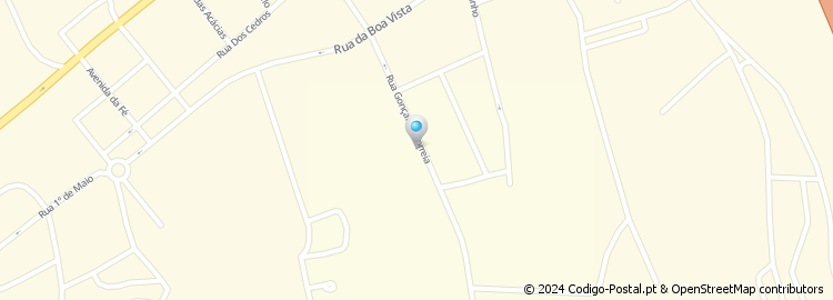 Mapa de Rua Gonçalves Correia