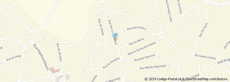 Mapa de Rua Frei Luís de Sousa